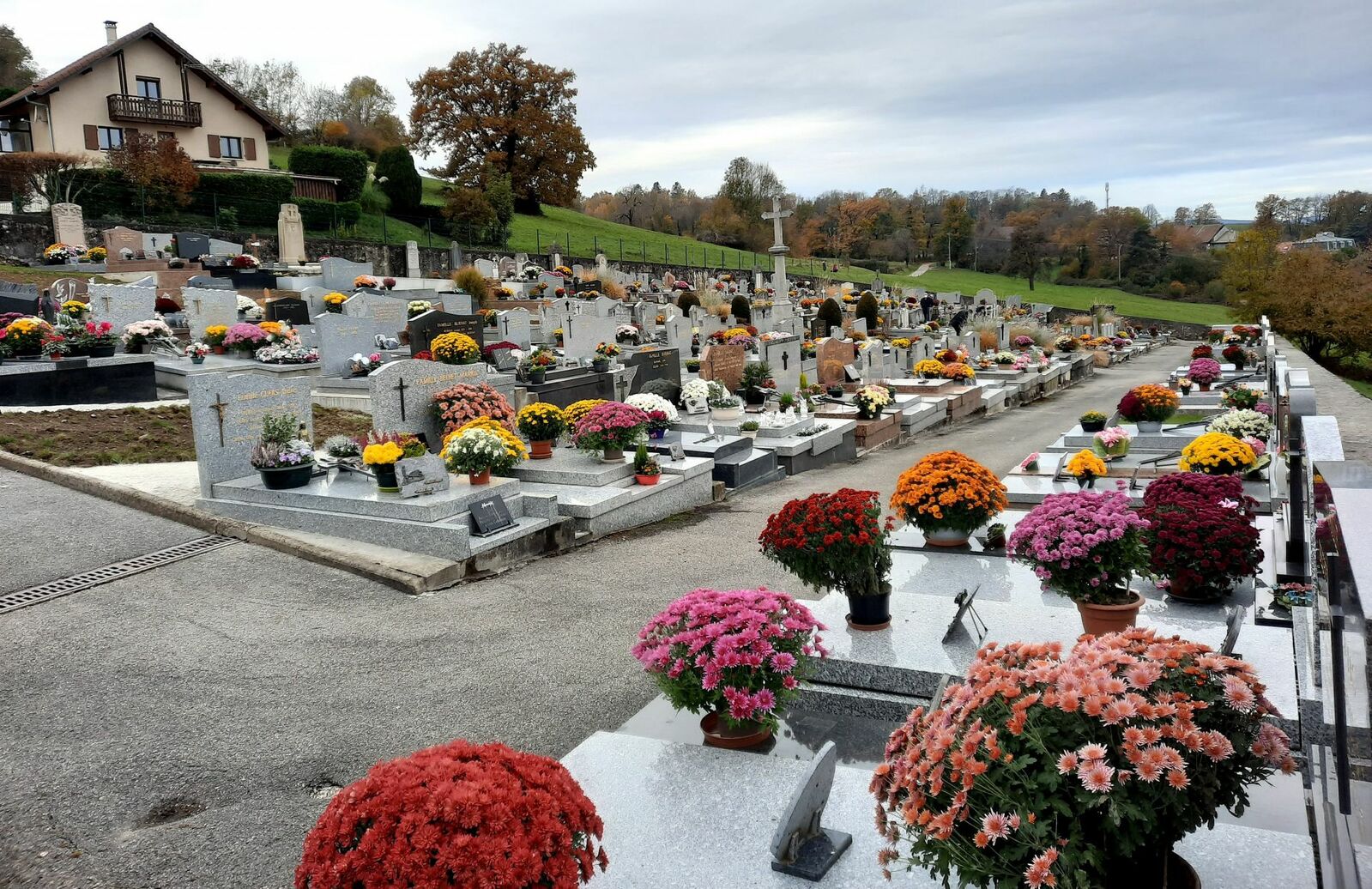 Description de l'image