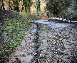 Chemin de Molnaz