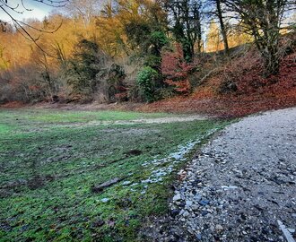 Chemin de Molnaz